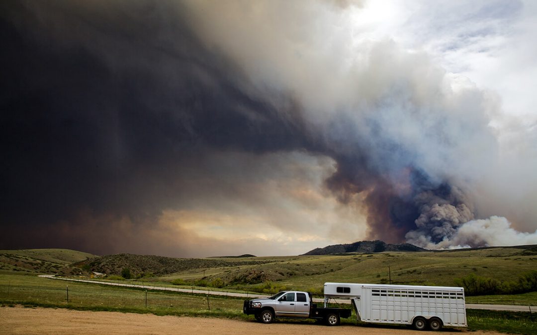 How To Protect Your Car From Wildfire Ash