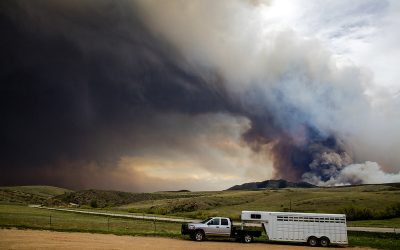 How To Protect Your Car From Wildfire Ash