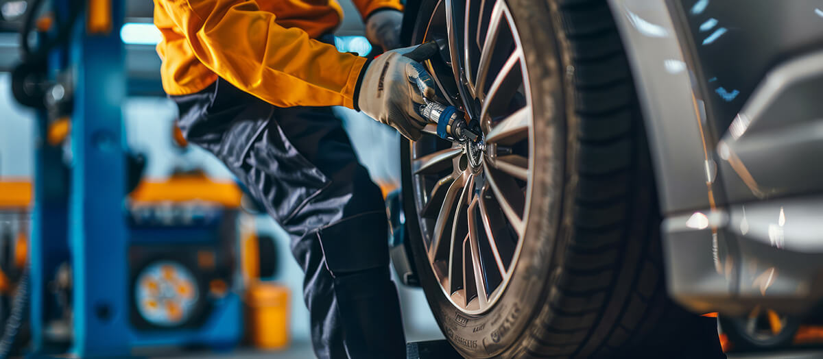 Mechanics at Work in Expert Tire