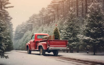 Getting Your Vehicle Ready for the Holiday Season